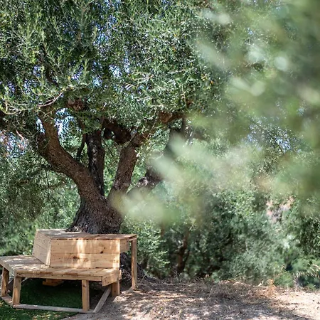 Anima Horizon - Thalassa * Eleofito