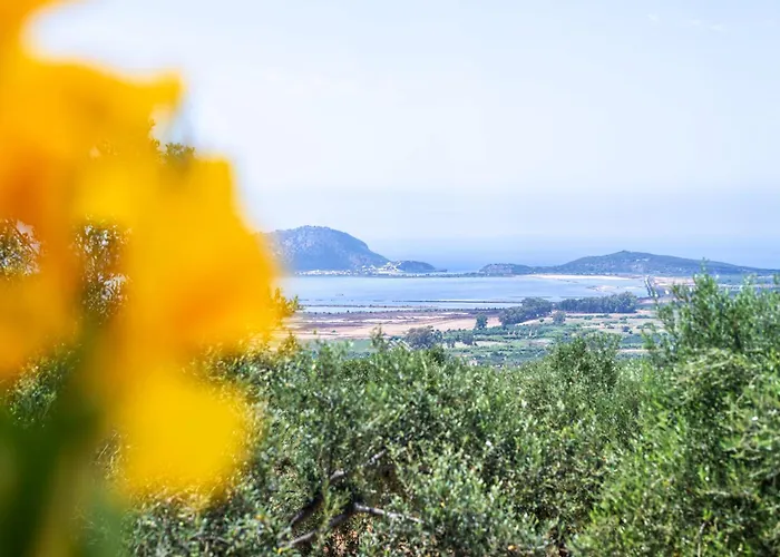 Anima Horizon - Thalassa 펜션